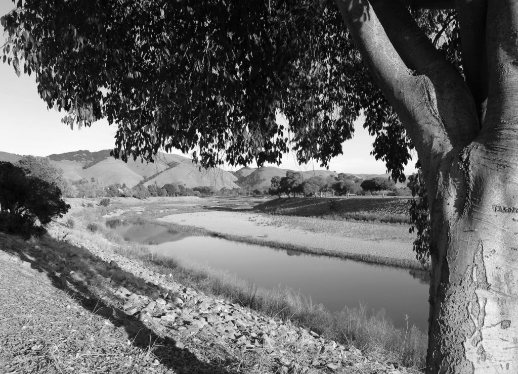 Northern California hills golden landscape Alameda Creek, Fremont, California in black white