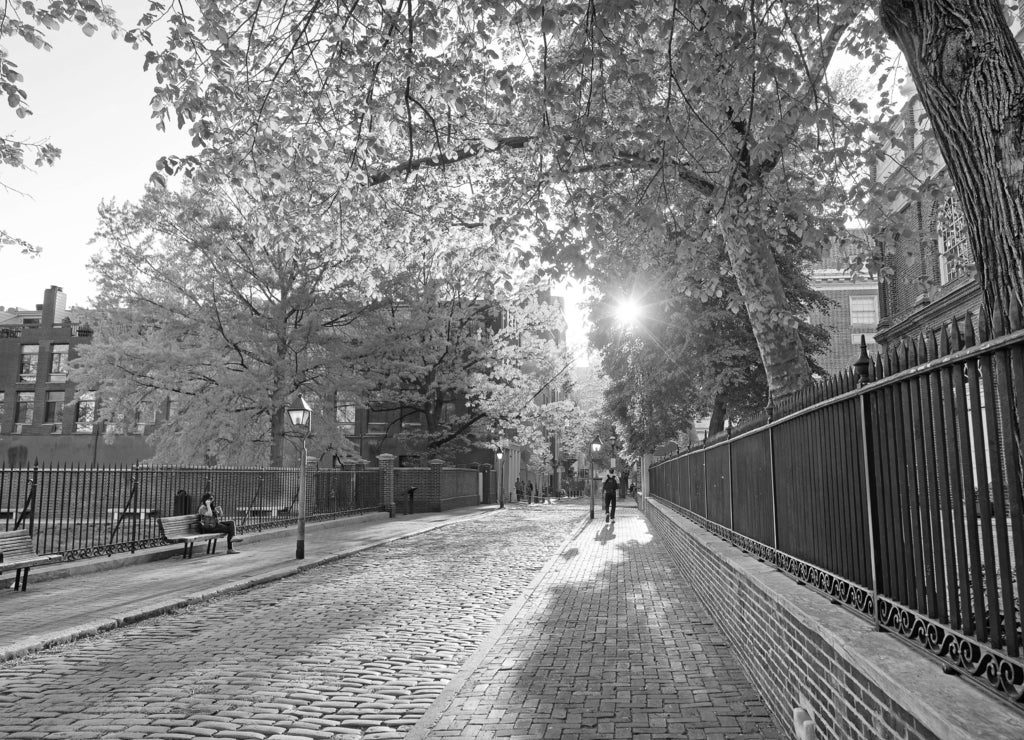 Romantic sunset viewed through the tree leaves in Philadelphia old city centre, Pennsylvania in black white