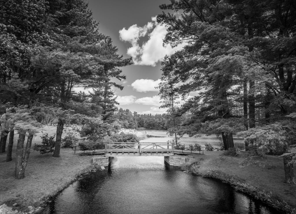 Bridge and pine trees at Bear Brook State Park, New Hampshire in black white