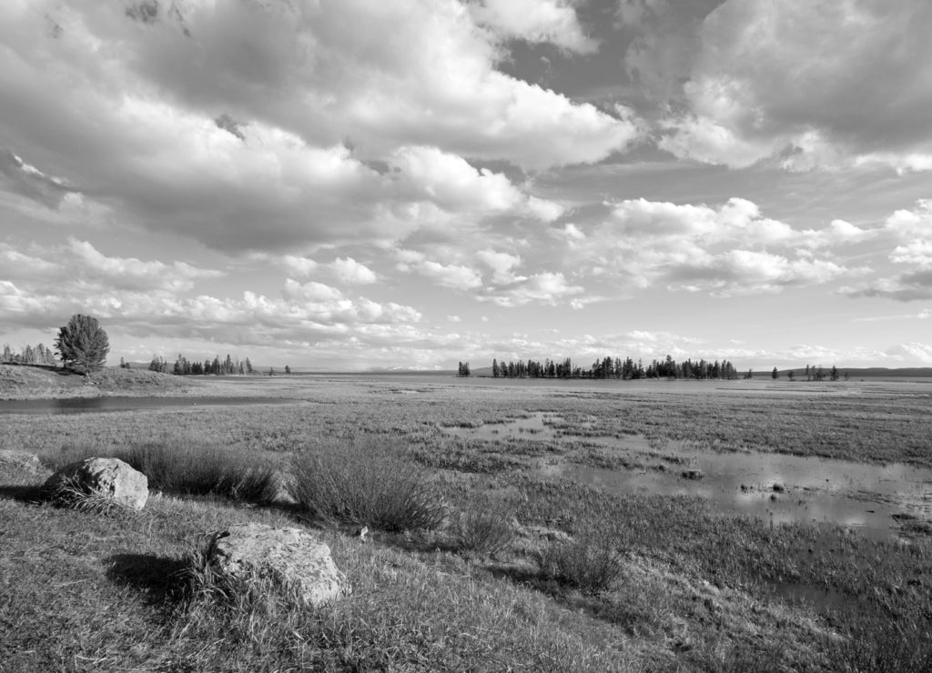 Pelican Creek next to Yellowstone Lake at sunset in Yellowstone National Park in Wyoming USA in black white