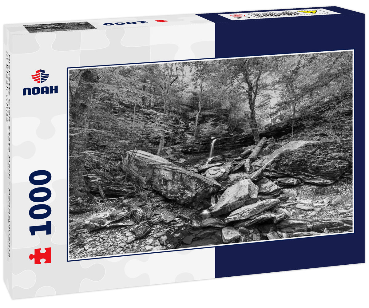 Ricketts Glen State Park - Pennsylvania in black white
