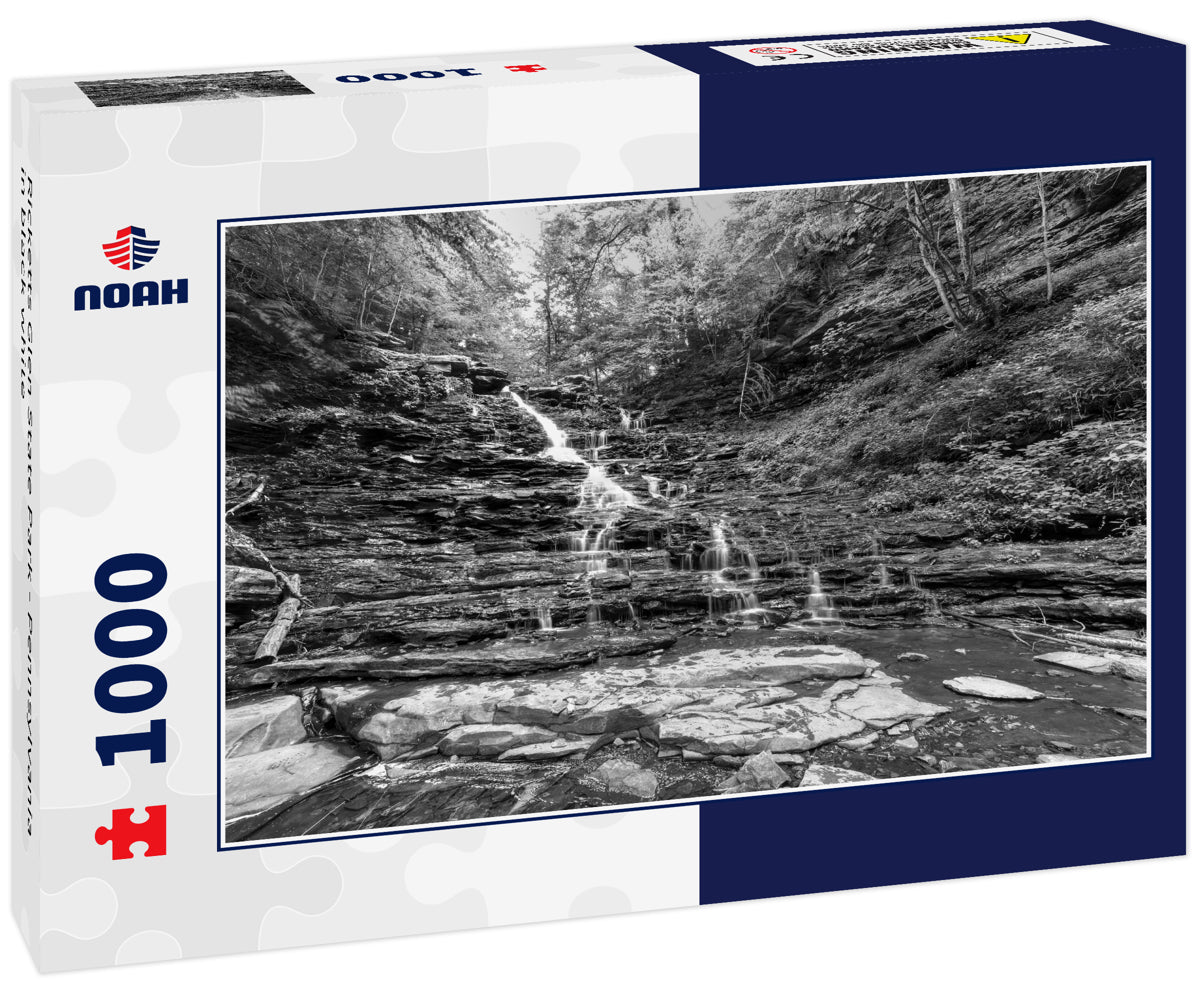 Ricketts Glen State Park - Pennsylvania in black white