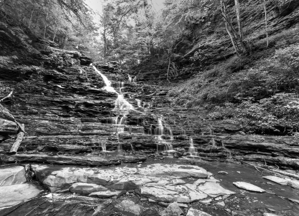 Ricketts Glen State Park - Pennsylvania in black white