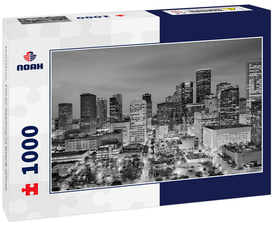 Houston, Texas Skyline in black white