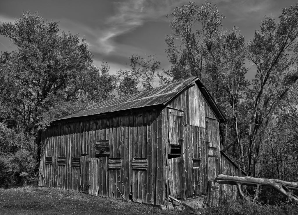 Old Barn in Calhoun County IL near Golden Eagle, Illinois in black white