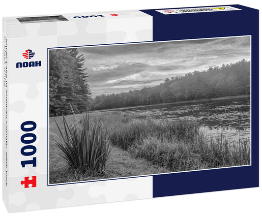 Silver Lake in Sullivan County, New York in black white