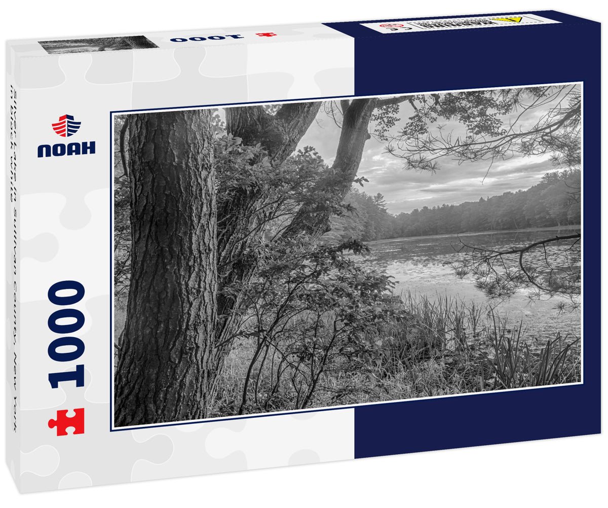 Silver Lake in Sullivan County, New York in black white