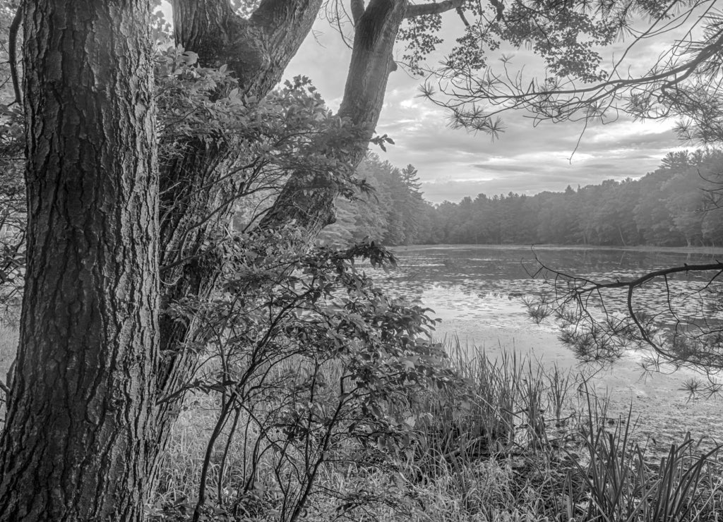 Silver Lake in Sullivan County, New York in black white