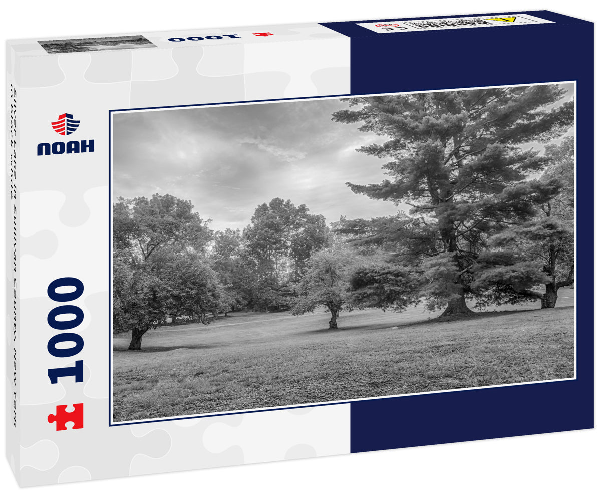 Silver Lake in Sullivan County, New York in black white