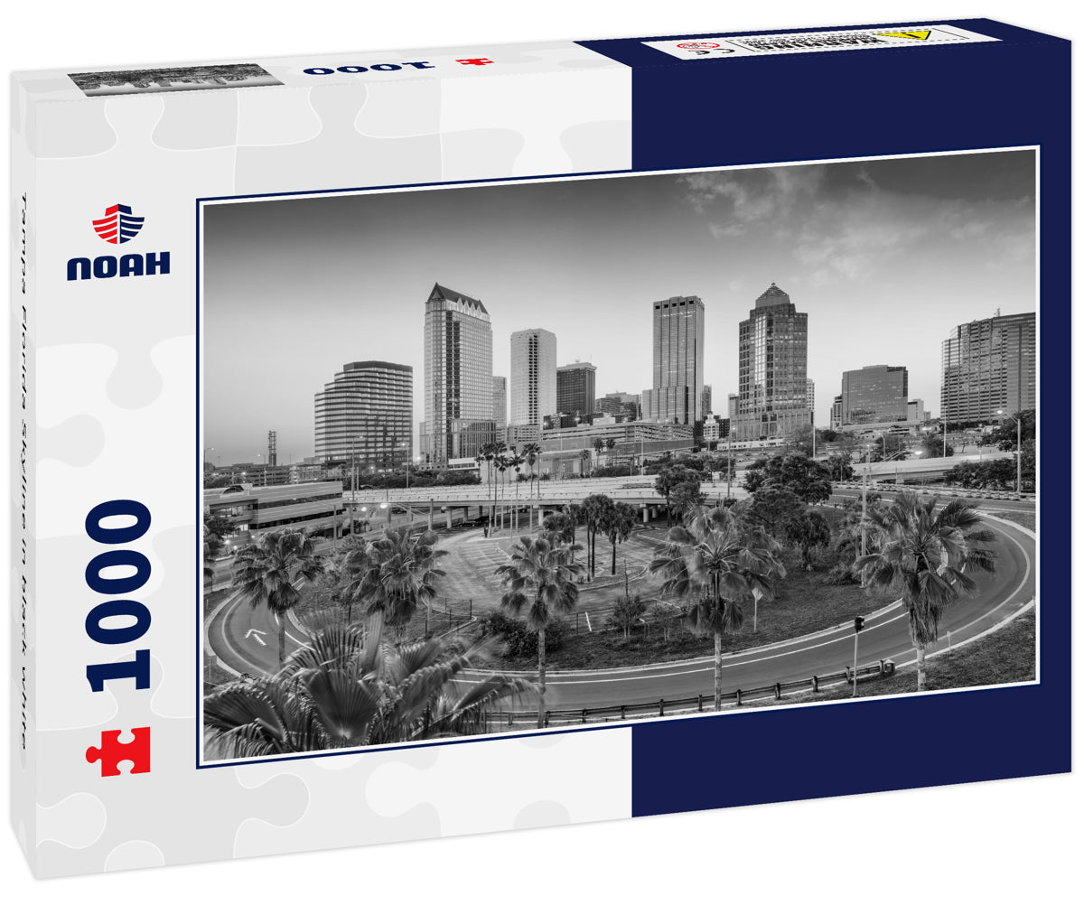 Tampa Florida Skyline in black white