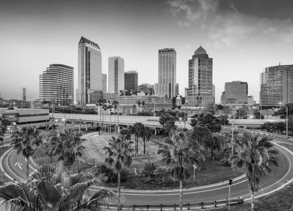 Tampa Florida Skyline in black white
