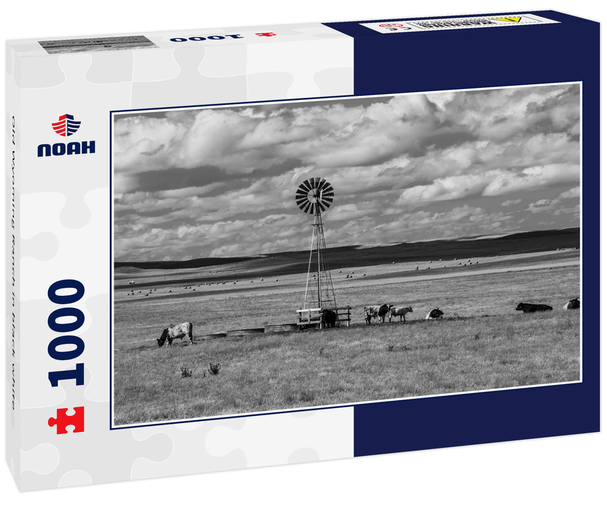 Old Wyoming Ranch in black white