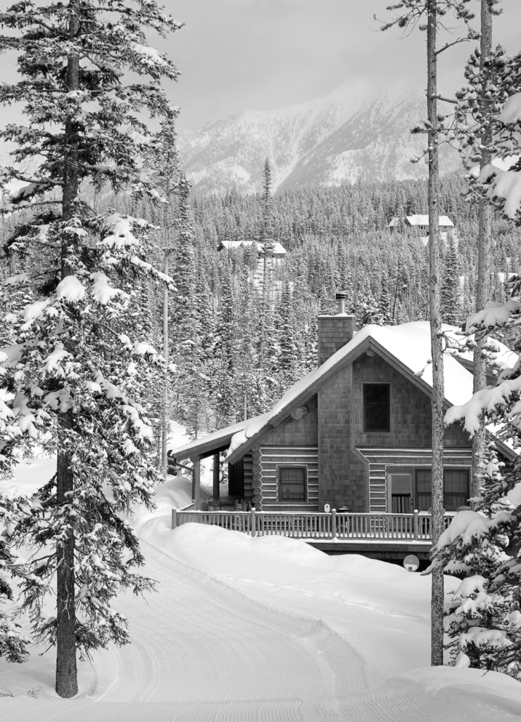 Ski In Ski Out, vacation cabin, winter Montana in black white