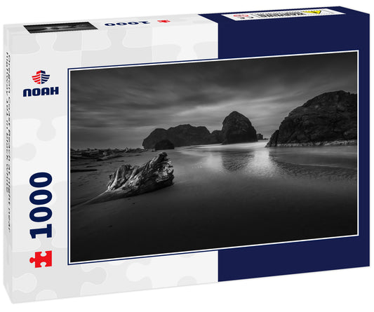 Oregon Coast Beach at night near highway 101 in black white