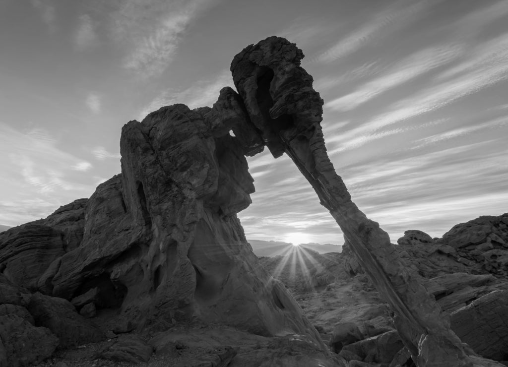 Elephant Rock, Valley of Fire State Park, Nevada in black white