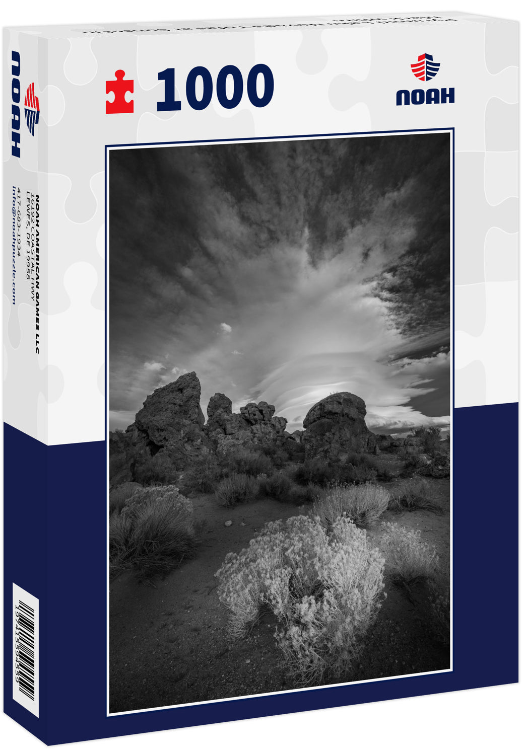 Pyramid Lake Nevada Tufas at Sunset in black white