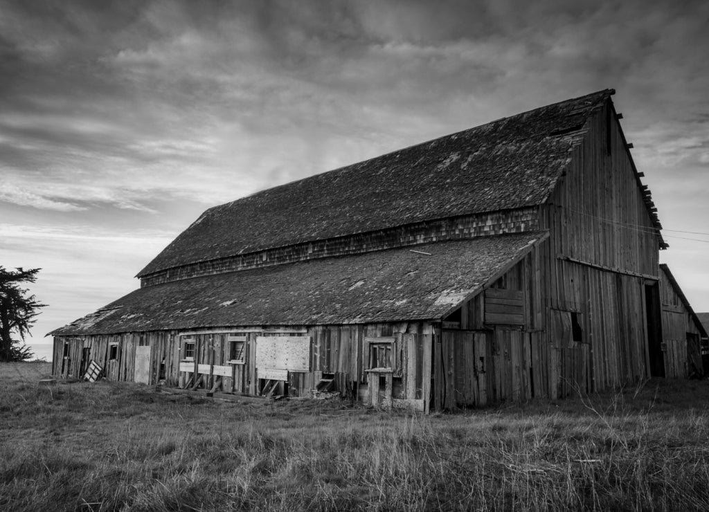 Abandoned Barn on the Mendocino Coast of California in black white