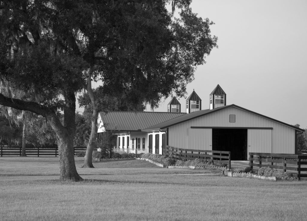 Horse barn, Ocala Florida in black white