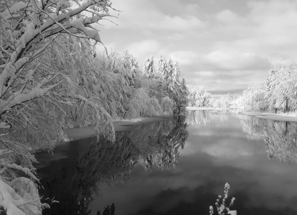 Winter Wonderland, Ice Storm New Hampshire Lake in black white
