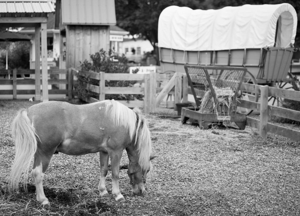 Country life, Ohio in black white