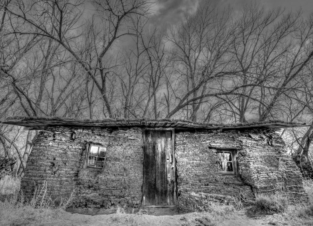 Sod House Nebraska Settler  in black white