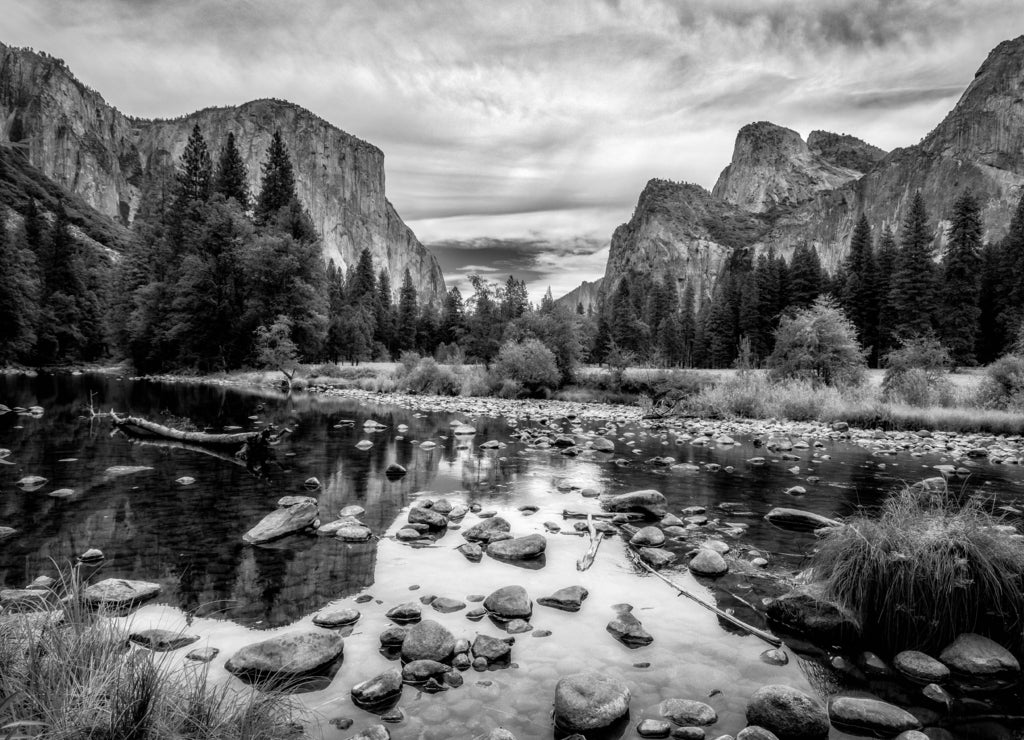 Yosemite Valley View featuring El Capitan, Cathedral Rock and The Merced River in black white