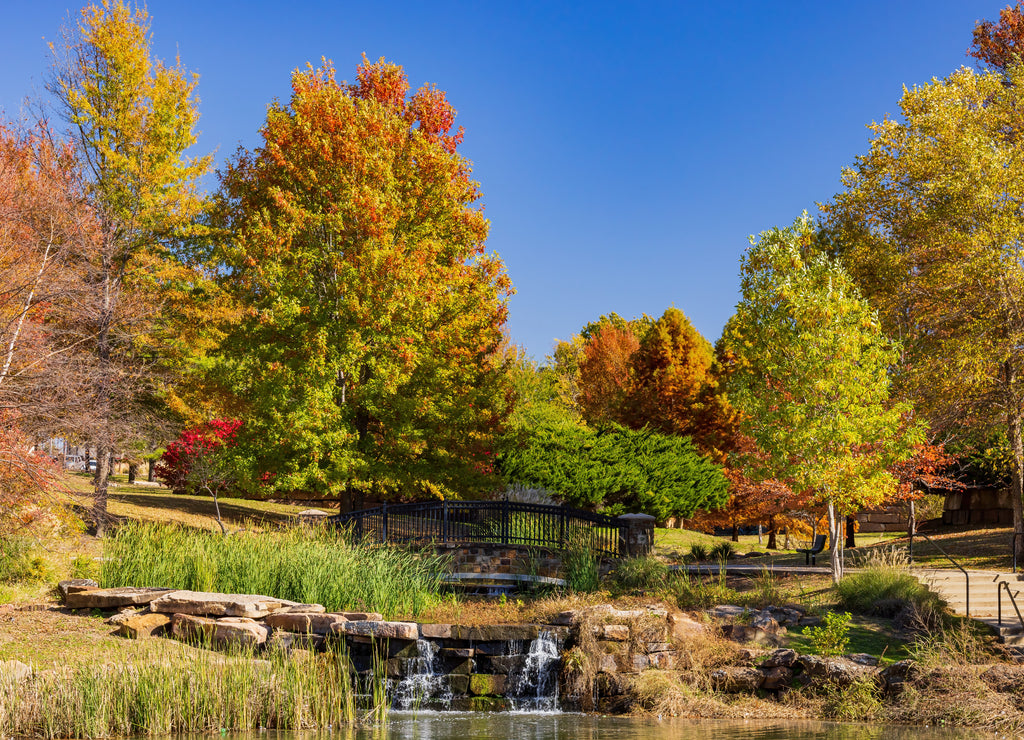 Beautiful fall color, Veterans Park Oklahoma