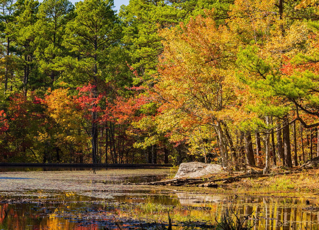 Nature autumn fall color of Robbers Cave State Park Oklahoma