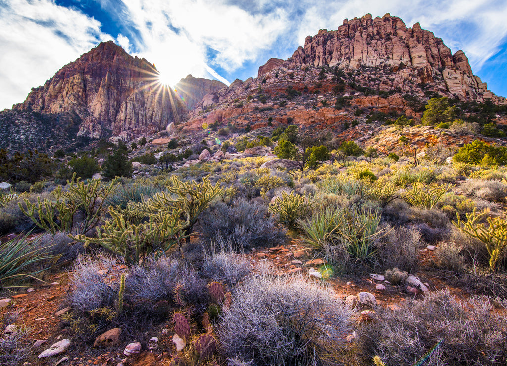 Sunset on a desert ridge in Red Rock Canyon near Las Vegas, Nevada