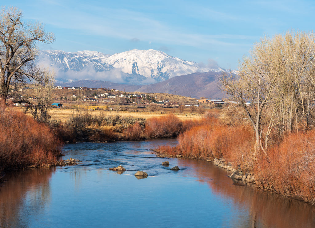 Landscape of the Carson River, reeds, trees and snow-covered mountains in the distance in Carson City, Nevada