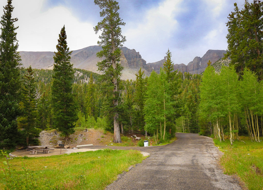 Great Basin National Park, Nevada: View from wheeler peak campground