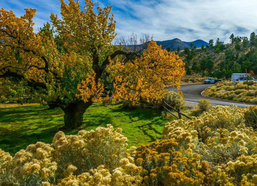 Great Basin National Park, Nevada