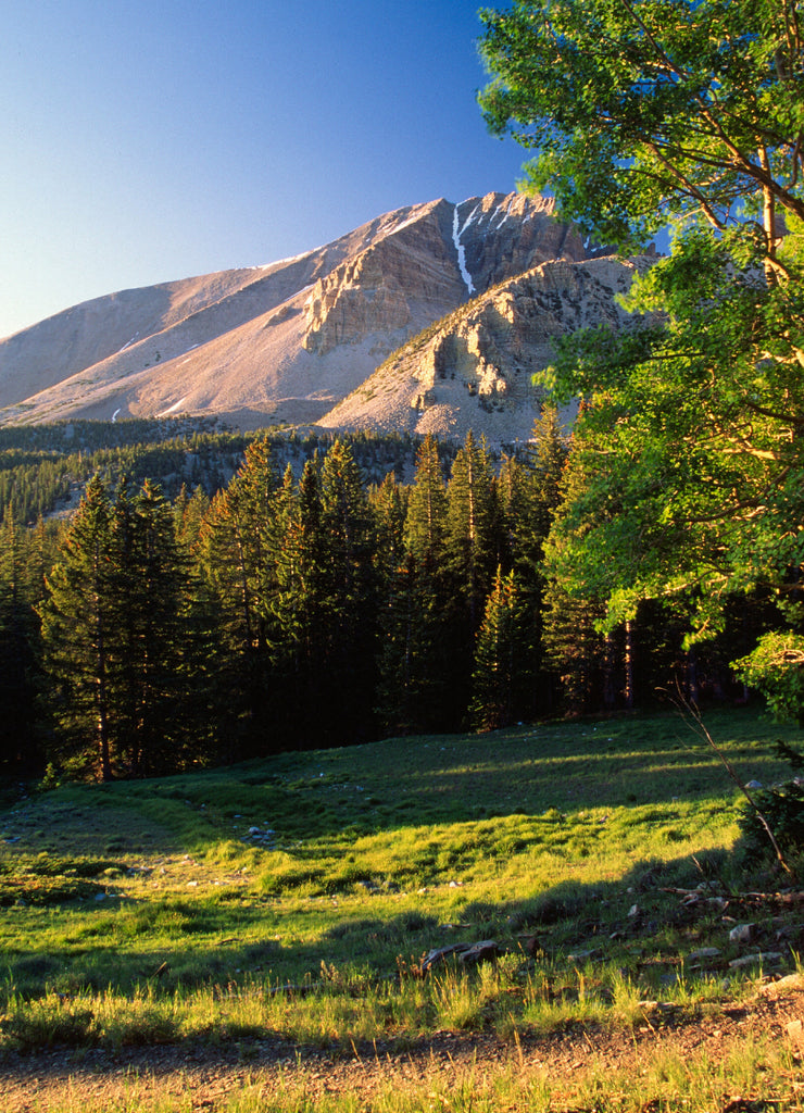 Great Basin National Park, Nevada