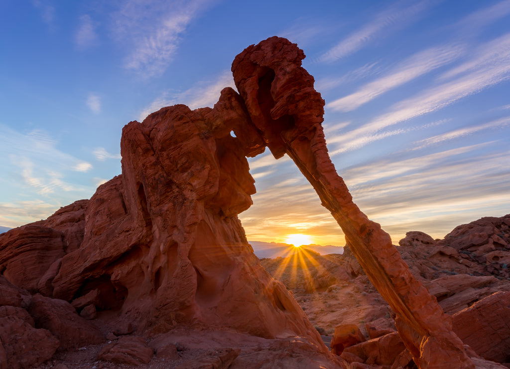 Elephant Rock, Valley of Fire State Park, Nevada