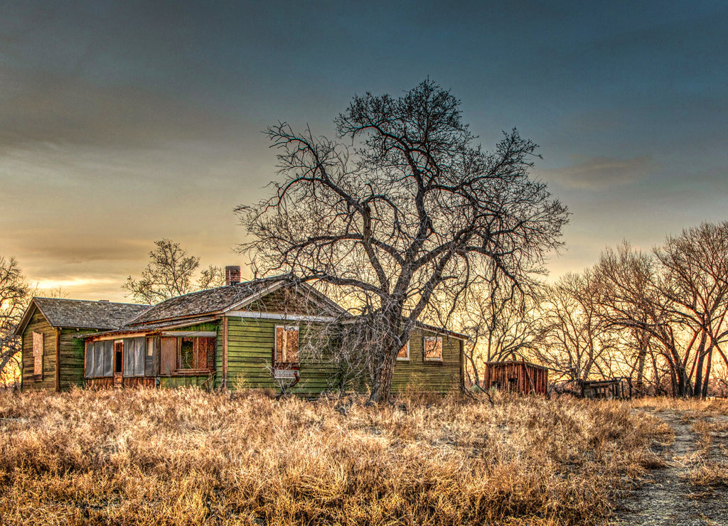 Abandoned Farm House, Nevada