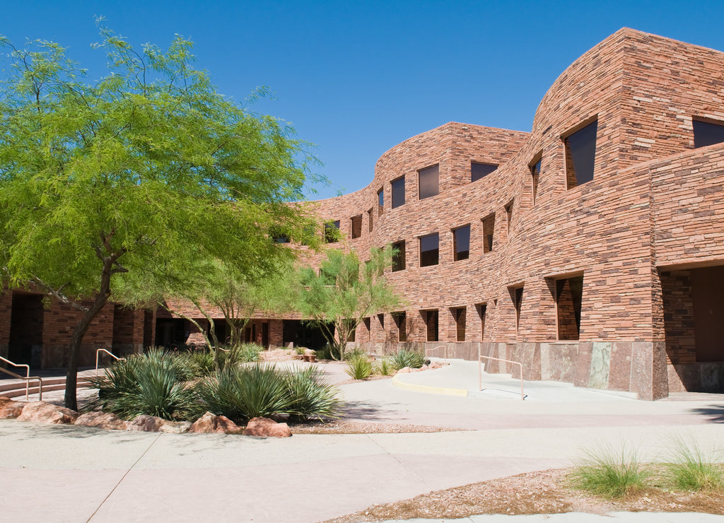 County government, Nevada