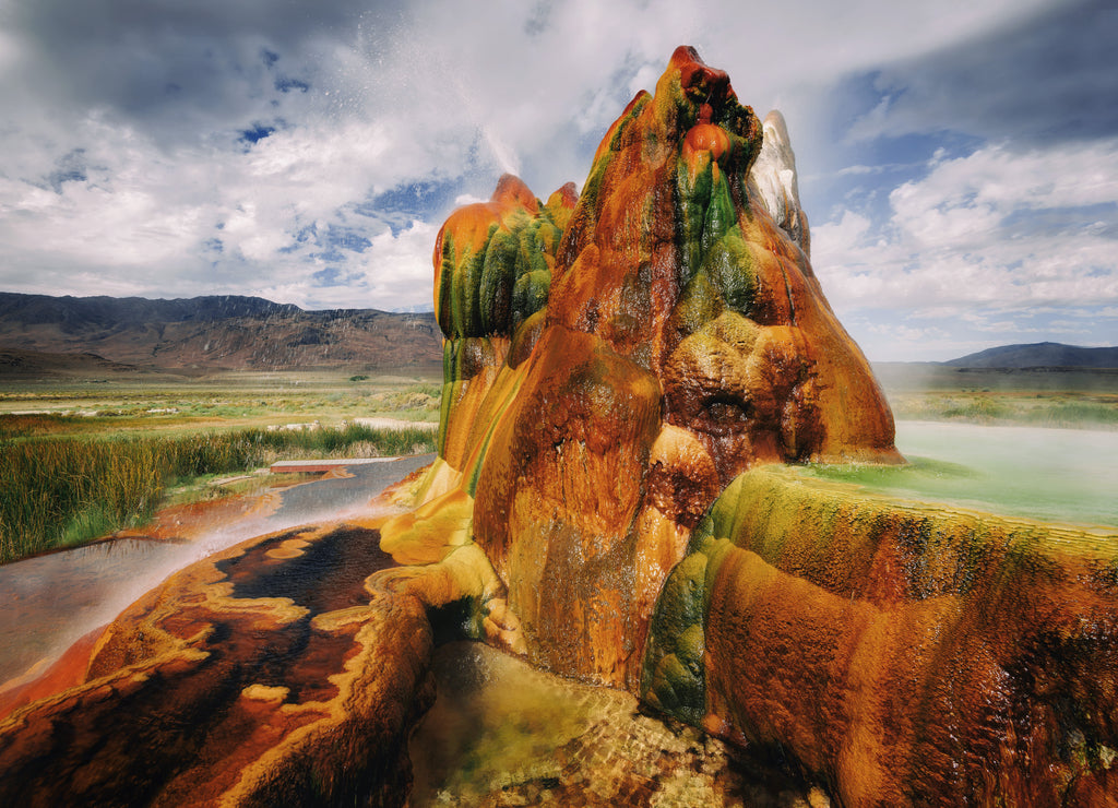 Fly Gyser Nevada