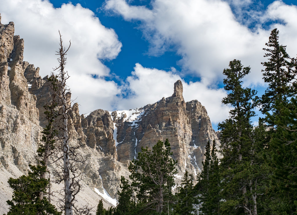 Back side of Wheeler Peak in ancient bristlecone pine forest in Great Basin National Park, Baker, Nevada, USA