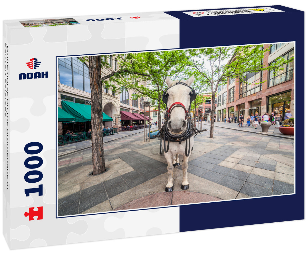 White horse on the promenade in Denver, Colorado