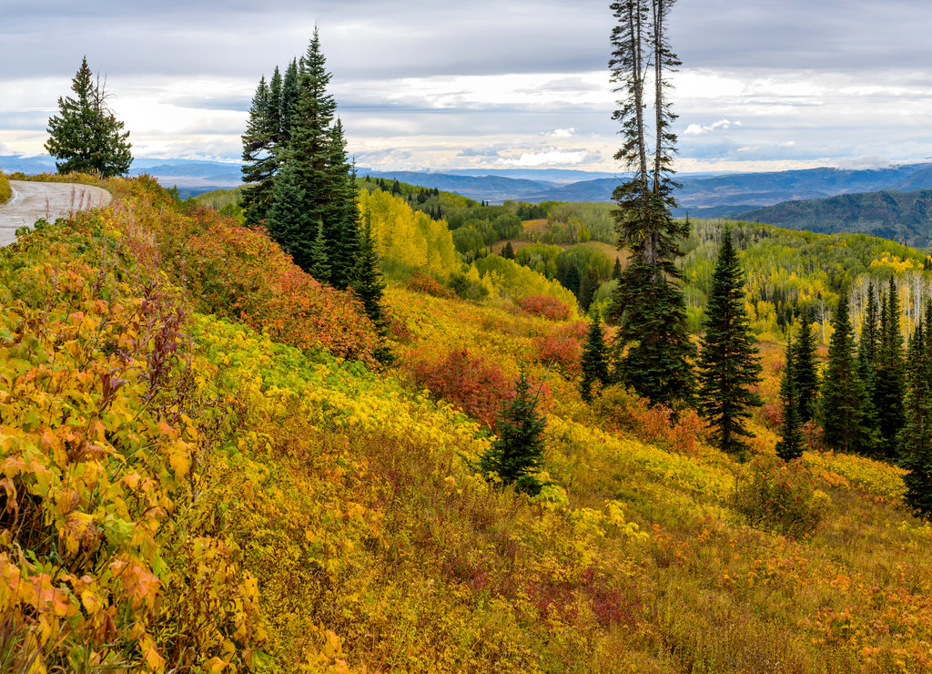 Buffalo Pass Road, in Routt National Forest, Steamboat Springs, Colorado, USA