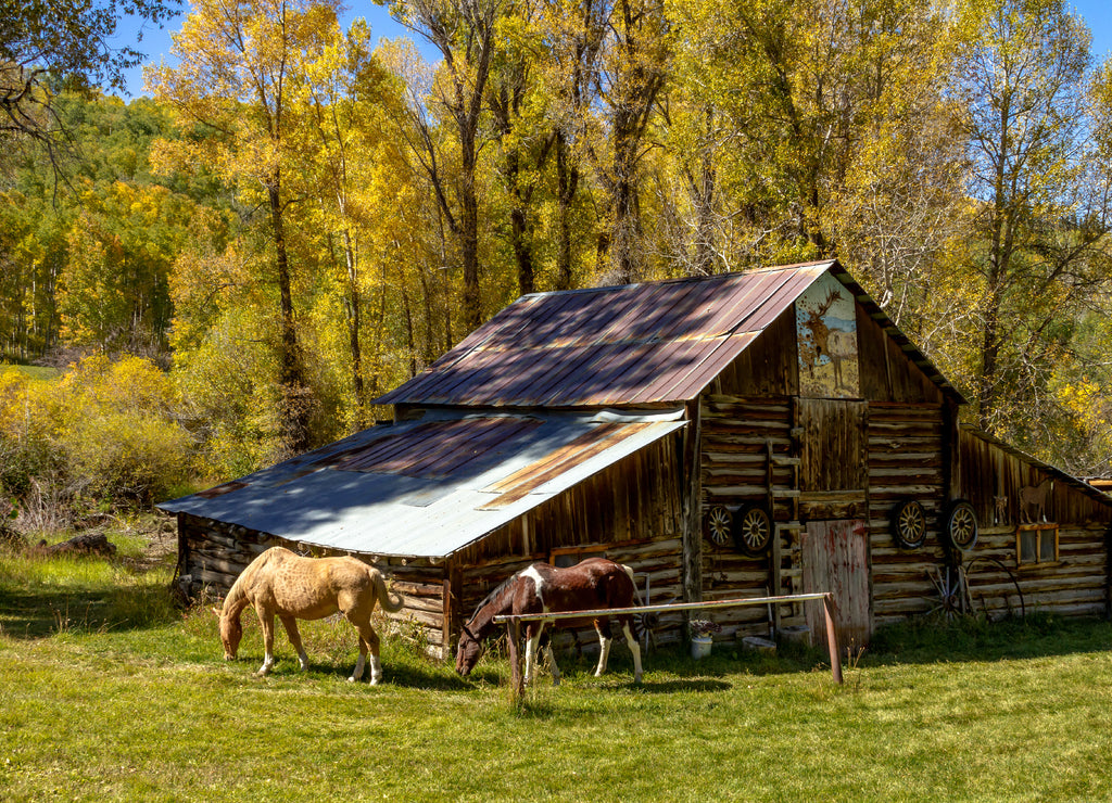 Fall in Steamboat Springs Colorado