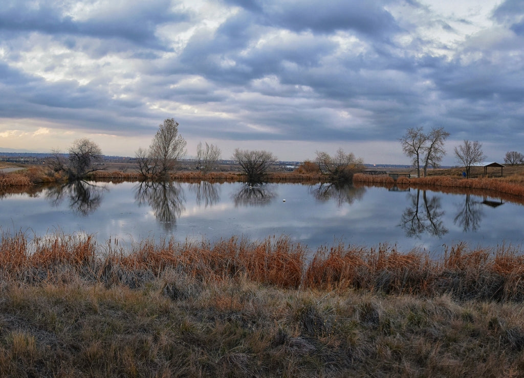 Views of Josh’s Pond walking path, Reflecting Sunset in Broomfield Colorado surrounded by Cattails, plains and Rocky mountain landscape during sunset. United States