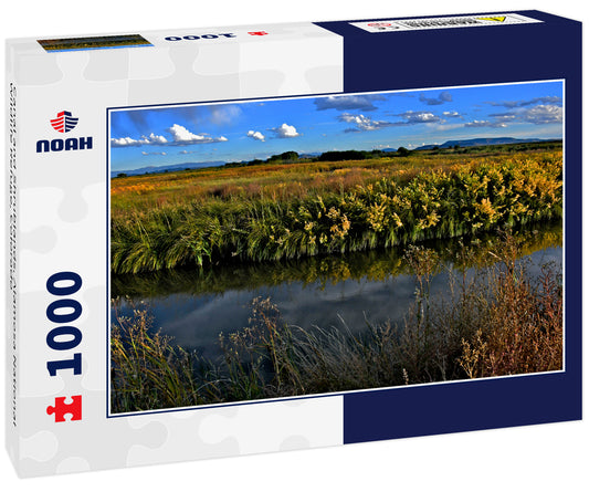 Canal and Shrublands, Alamosa National Wildlife Refuge, Colorado