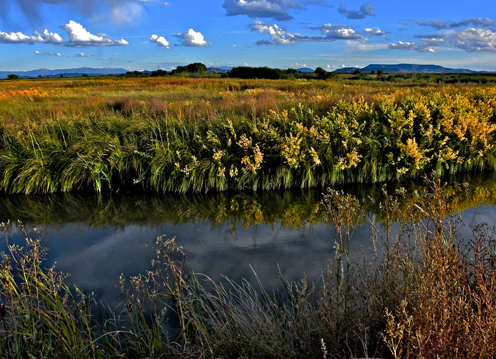 Canal and Shrublands, Alamosa National Wildlife Refuge, Colorado