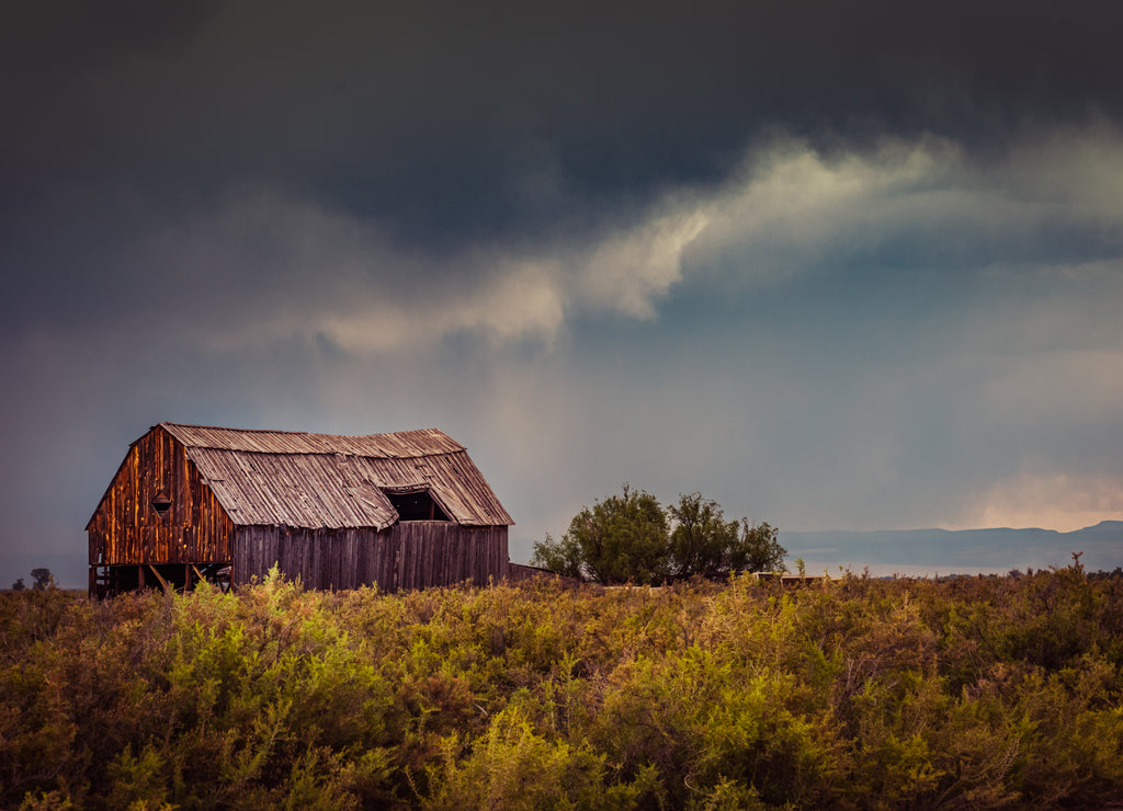 Barn in Alamosa Colorado