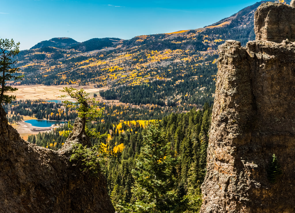 Fall Color Along The San Juan Skyway, Dolores, Colorado, USA