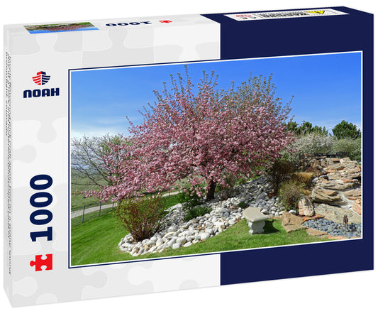 lovely flowering pick crab apple tree on a sunny spring day in a rock and waterfall-landscaped yard in broomfield, colorado