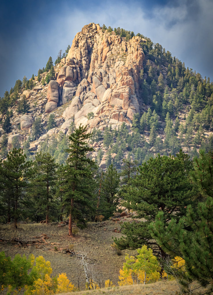 Autumn color in the mountains near Lake George, Colorado, USA