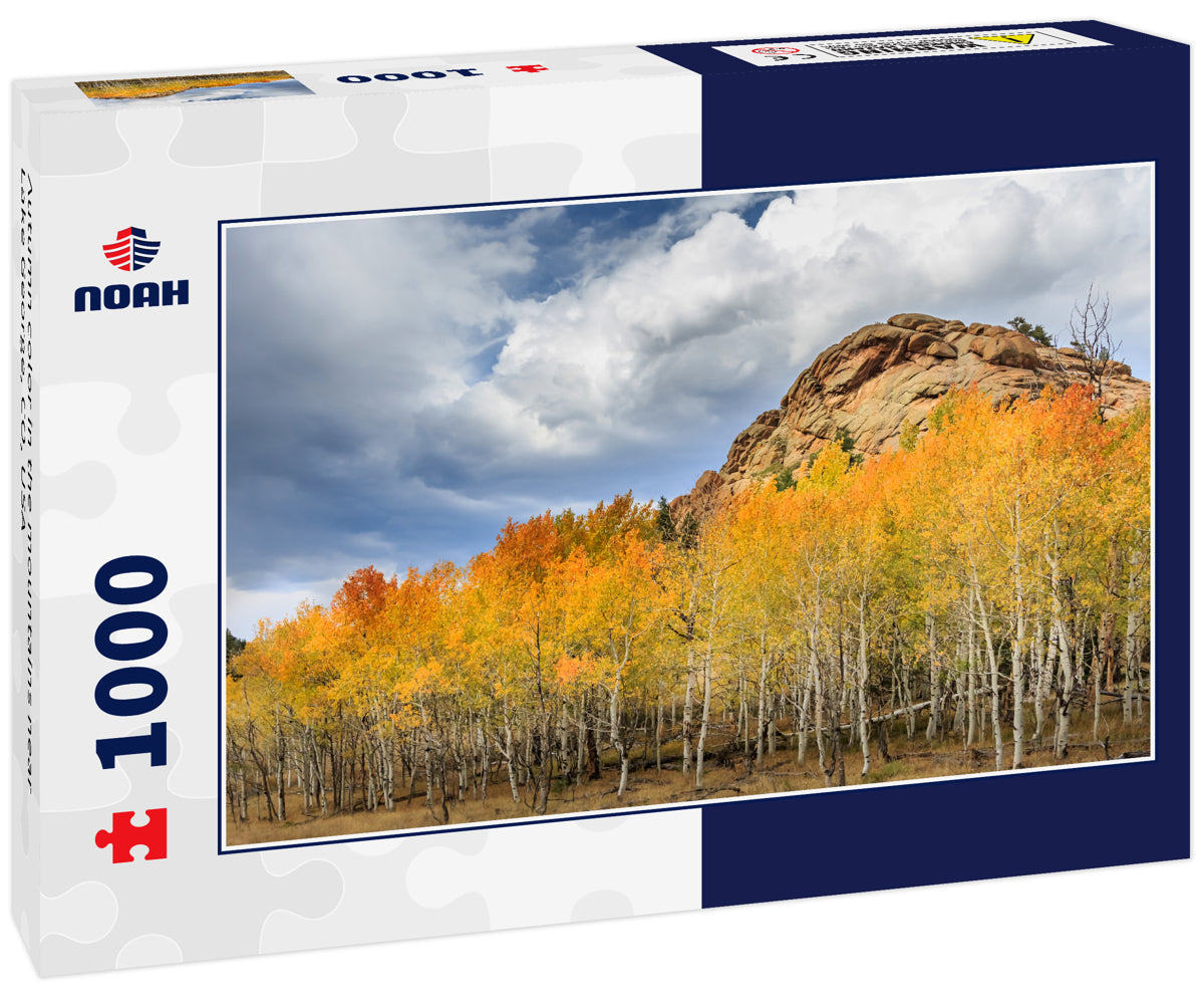 Autumn color in the mountains near Lake George, CO, USA