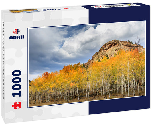 Autumn color in the mountains near Lake George, CO, USA